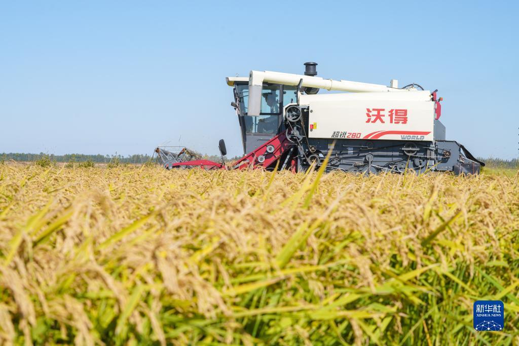 88集团官网